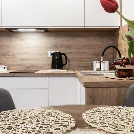 Apartament Nosal 2 Droga Na Bystre Zakopane Exteriér fotografie