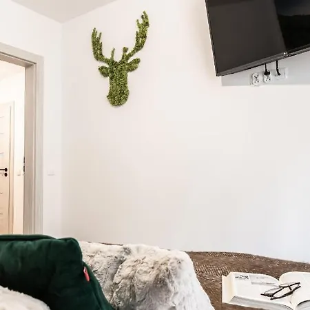 Apartament Nosal 2 Droga Na Bystre Zakopane Exteriér fotografie